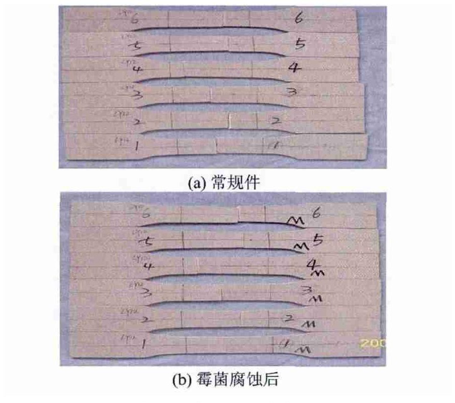 低空載人飛行器霉菌實(shí)驗(yàn)箱對飛行汽車樣品的試驗(yàn)研究(圖4)